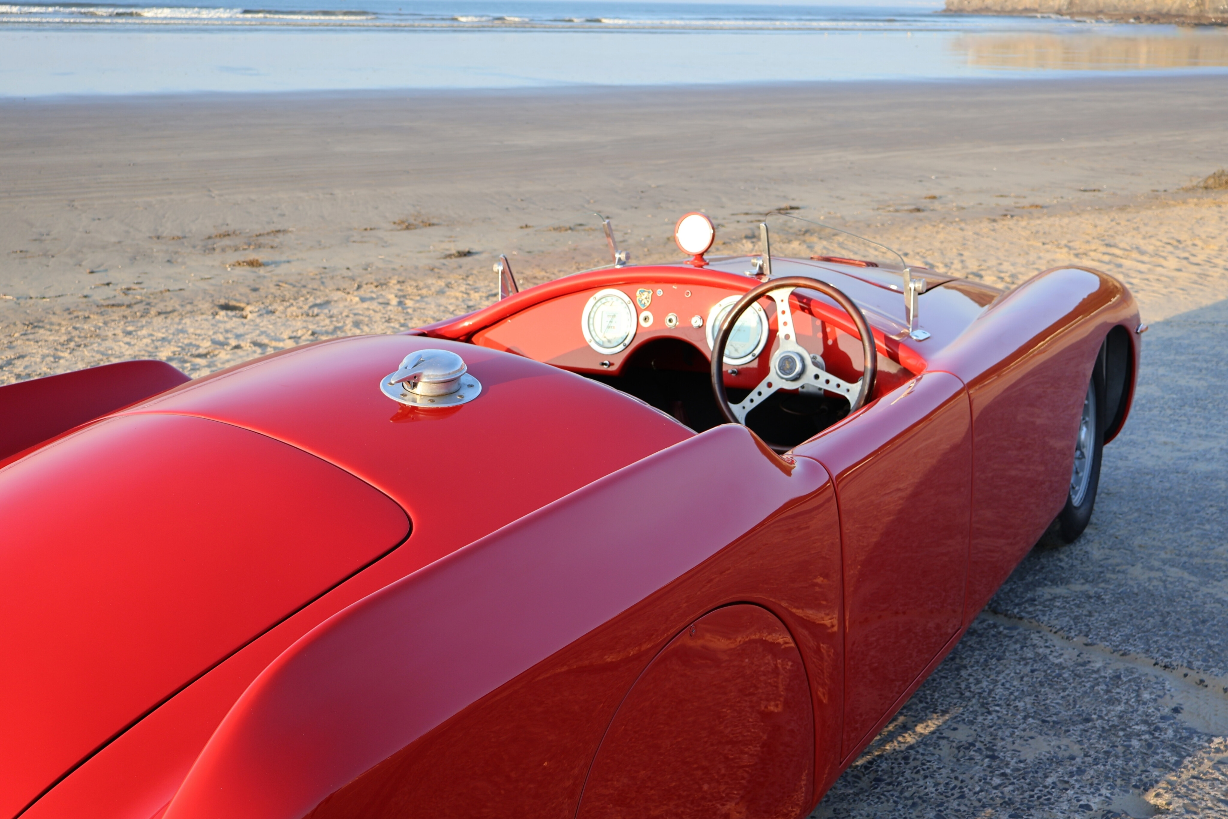 Two Fins at the Beach